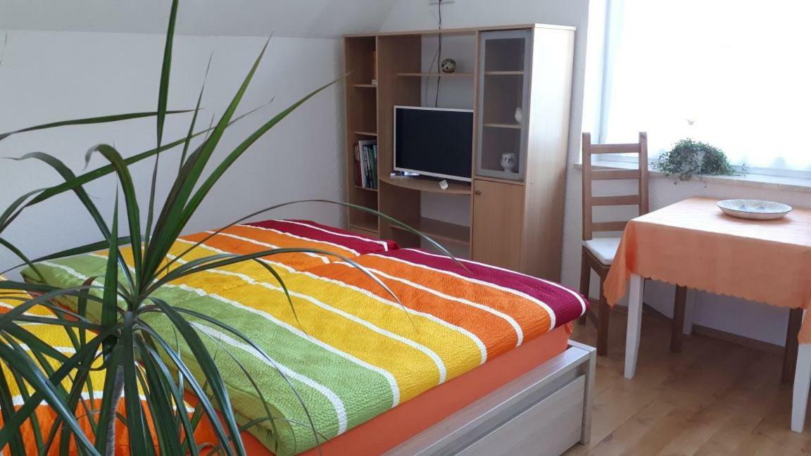 Pension Sommerfrische Nebra 外观 照片